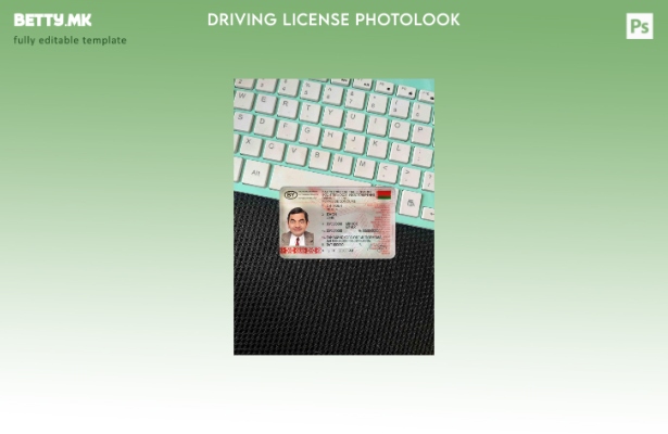 Модерен стил Белорусија DL photolook FRONT шаблон